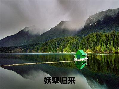 陆乘风小说免费（妖孽归来）全文免费阅读无弹窗-妖孽归来小说全文免费阅读最新章节列表