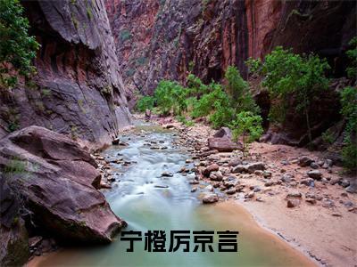 （宁橙厉京言）最新免费小说大结局-小说宁橙厉京言宁橙厉京言全文免费在线阅读