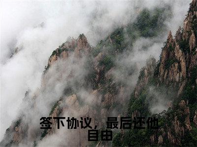 签下协议，最后还他自由（顾凌霄苏轻婳）全文免费阅读无弹窗_签下协议，最后还他自由全文免费阅读无弹窗最新章节列表笔趣阁