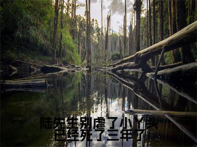 陆先生别虐了小丫头已经死了三年了小说（江小渔陆景庭）全文在线阅读免费大结局_陆先生别虐了小丫头已经死了三年了小说最新章节列表