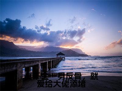 真千金一身反骨，就爱给大佬添堵在线阅读全文免费阅读无弹窗大结局_沈熄季换澜最新章节列表_笔趣阁