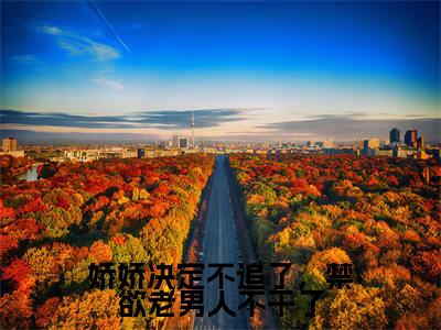 娇娇决定不追了，禁欲老男人不干了小说免费下载（娇娇决定不追了，禁欲老男人不干了完整全集已完结大结局小说）_谢砚铭郁偲缈免费阅读笔趣阁