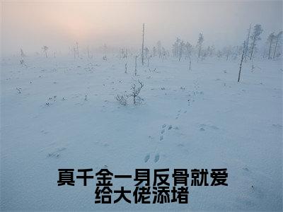 真千金一身反骨就爱给大佬添堵（沈熄季换澜）免费小说-主角沈熄季换澜全文在线完本阅读笔趣阁