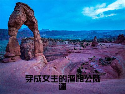 穿成女主的渣相公陆谨小说最新试读_（李安然陆谨免费阅读最新章节列表）_笔趣阁