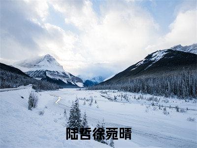 陆哲徐菀晴（徐菀晴陆哲）全文免费阅读无弹窗_陆哲徐菀晴完整版最新阅读_笔趣阁（徐菀晴陆哲）