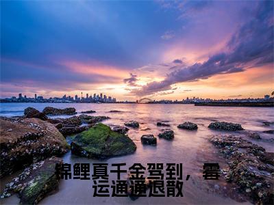 小说苏宁宁许悠悠全文免费阅读无弹窗大结局_锦鲤真千金驾到，霉运通通退散完整阅读
