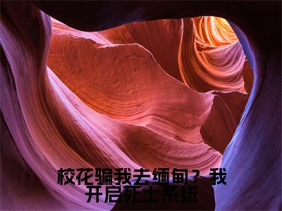 林辰（校花骗我去缅甸？我开启死士系统）热门小说在哪免费看-林辰小说校花骗我去缅甸？我开启死士系统全章节阅读