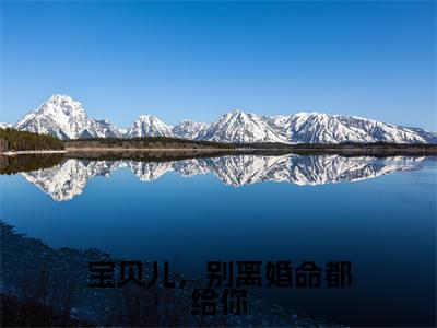 宝贝儿，别离婚命都给你在线阅读（白音音顾言淮）全文免费阅读无弹窗大结局_（宝贝儿，别离婚命都给你全文免费阅读）最新章节列表