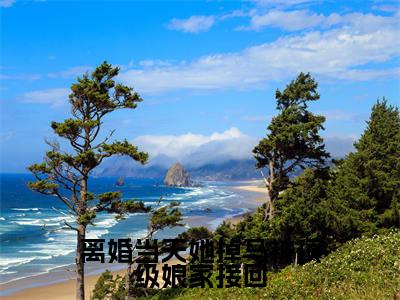 离婚当天她掉马被顶级娘家接回在线阅读（姜璃裴御年）全文无弹窗大结局_姜璃裴御年全文在线阅读无弹窗