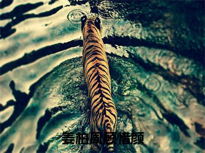 顾惜颜姜柏周（姜柏周顾惜颜）全文在线阅读无弹窗大结局_（姜柏周顾惜颜）最新章节列表_笔趣阁