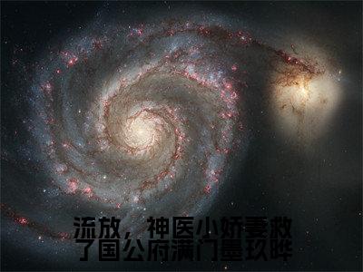 流放，神医小娇妻救了国公府满门墨玖晔小说（赫知冉墨玖晔）热推新书_流放，神医小娇妻救了国公府满门墨玖晔最新章节在线阅读_笔趣阁