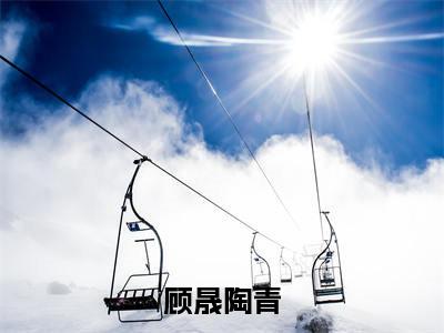 陶青顾晟（顾晟陶青）小说全文无删减-陶青顾晟小说免费阅读大结局