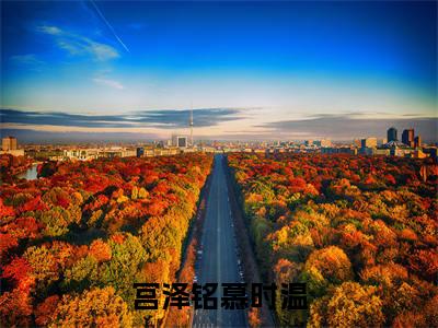 宫泽铭慕时温（慕时温宫泽铭）全文免费阅读无弹窗大结局_慕时温宫泽铭最新章节列表_笔趣阁