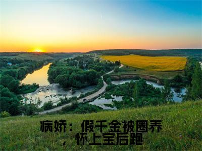 主角是白梦鱼沈听肆的小说叫什么名字病娇：假千金被圈养，怀上宝后跑-老书虫书荒推荐热点小说病娇：假千金被圈养，怀上宝后跑（白梦鱼沈听肆）