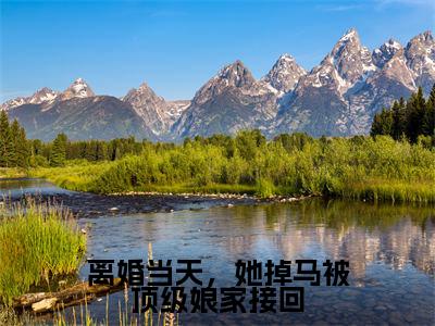 全章节完整《离婚当天，她掉马被顶级娘家接回》全文阅读《姜璃裴御年》