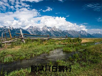白鹤行顾常月全文（顾常月白鹤行）全文免费阅读无弹窗大结局_白鹤行顾常月免费最新章节列表_笔趣阁