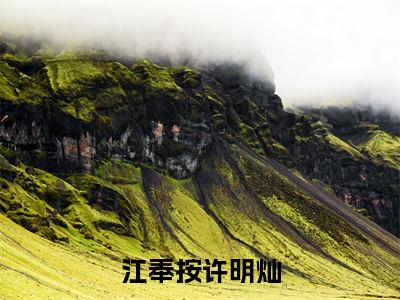 许明灿江奉按（江奉按许明灿）免费阅读无弹窗大结局_（江奉按许明灿）许明灿江奉按最新章节列表_笔趣阁