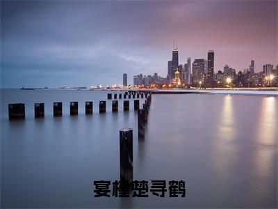宴槿楚寻鹤免费阅读-（宴槿楚寻鹤）全文免费阅读无弹窗大结局（楚寻鹤宴槿）最新章节列表_笔趣阁