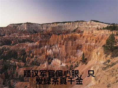 糙汉军官偏心眼，只爱绿茶真千金小说（苏星月）全文免费阅读大结局无删减_（苏星月）糙汉军官偏心眼，只爱绿茶真千金小说最新章节列表_笔趣阁