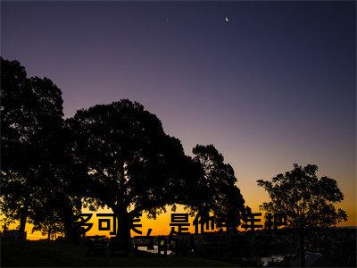 多可笑，是他亲手把爱自己的人弄丢了（楚思珩穆泱泱）全文免费阅读无弹窗大结局_（楚思珩穆泱泱无弹窗）_笔趣阁