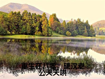 沈莞陆霆霄小说免费阅读无弹窗大结局，重生在八零，硬汉老公天天哄最新章节列表