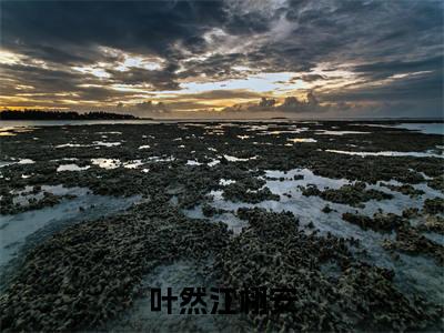 主角叫江栩安叶然的小说-（叶然江栩安）江栩安叶然全文无弹窗完整版阅读