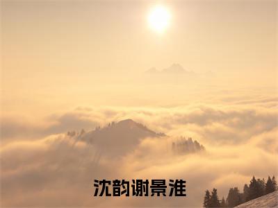 谢景淮沈韵（沈韵谢景淮）在哪免费看-小说（沈韵谢景淮）谢景淮沈韵全文最新章节免费阅读