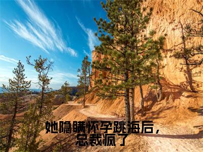 她隐瞒怀孕跳海后，总裁疯了（顾昀禾宋乔）全文免费阅读无弹窗大结局_她隐瞒怀孕跳海后，总裁疯了免费阅读无弹窗最新章节列表