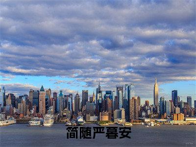 简随严暮安（简随严暮安）全文免费阅读无弹窗大结局_简随严暮安全文免费阅读（简随严暮安）最新章节列表