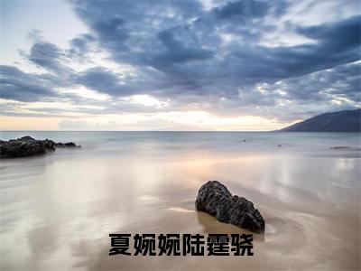 陆霆骁夏婉婉（夏婉婉陆霆骁）全文免费读无弹窗大结局_陆霆骁夏婉婉免费陆霆骁夏婉婉读无弹窗最新章节列表_笔趣阁