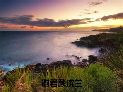 沈兰谢君麟小说谢君麟沈兰在哪里可以看-主角是沈兰谢君麟的小说谢君麟沈兰