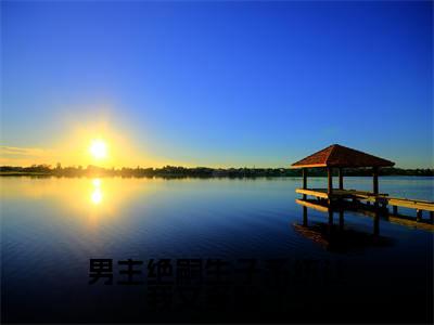 叶婉欣小说（男主绝嗣生子系统让我又多胎了）全文免费阅读无弹窗大结局-男主绝嗣生子系统让我又多胎了最新热点小说