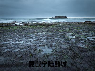 夏以宁陆致城精彩章节在线阅读_夏以宁陆致城免费观看（夏以宁陆致城）完结版_笔趣阁（夏以宁陆致城）