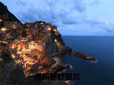 舒意欢傅司寒（傅司寒舒意欢）全文免费阅读无弹窗大结局_（舒意欢傅司寒阅读无弹窗）傅司寒舒意欢最新章节列表