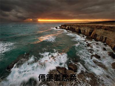 傅策姜念柔小说（傅策姜念柔）全文在线阅读免费大结局_傅策姜念柔小说最新章节列表