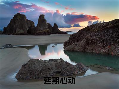 小说延期心动全文免费阅读无弹窗大结局_（温若凝周浔）全文在线阅读