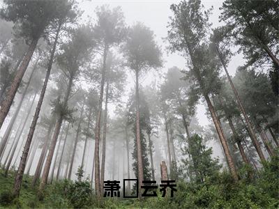 萧璟云乔小说_小说萧璟云乔免费阅读最新章节列表（萧璟云乔）笔趣阁