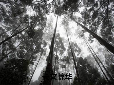 姬梓昭谢璟澜（长女惊华）小说最新章节-长女惊华全文免费阅读无弹窗大结局