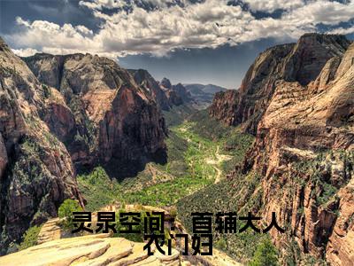 灵泉空间：首辅大人农门妇（苏落儿小说）小说全文免费阅读_苏落儿小说下载_最新章节列表笔趣阁（灵泉空间：首辅大人农门妇）