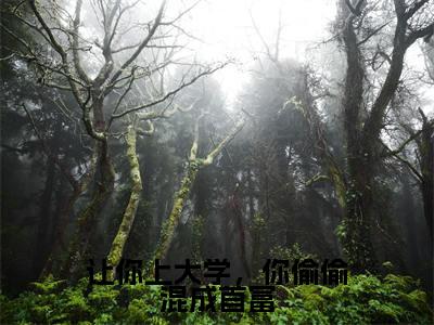 叶云峰（让你上大学，你偷偷混成首富）全文免费阅读_让你上大学，你偷偷混成首富全文阅读_笔趣阁