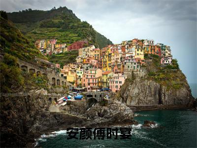 小说安颜傅时宴全文免费阅读无弹窗大结局_（安颜傅时宴）全文在线阅读