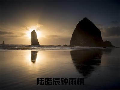 陆皓辰钟雨桐全文免费阅读_钟雨桐陆皓辰（陆皓辰钟雨桐）小说在线阅读最新章节列表笔趣阁