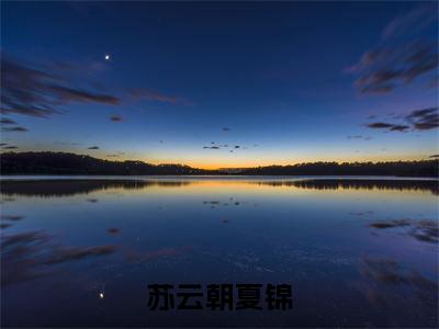 夏锦苏云朝（苏云朝夏锦）全文在线免费阅读无弹窗_夏锦苏云朝最新章节列表_笔趣阁