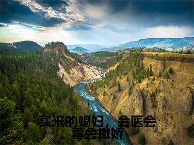 买来的媳妇，会医会毒会撒娇免费阅读妘娇最新章节目录
