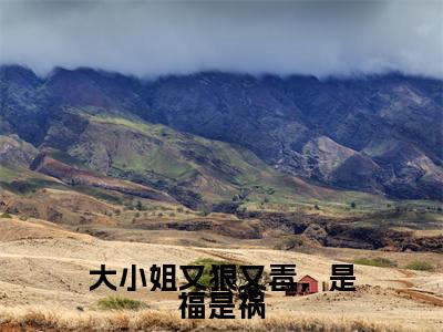 主角是李玄风任道成的小说叫什么名字大小姐又狠又毒，是福是祸-老书虫书荒推荐热点小说大小姐又狠又毒，是福是祸（李玄风任道成）
