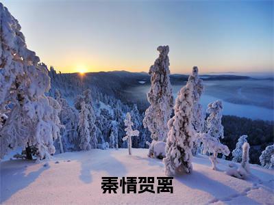 秦情贺离热推新书小说全文（贺离秦情）全文免费阅读_秦情贺离最新章节无弹窗阅读