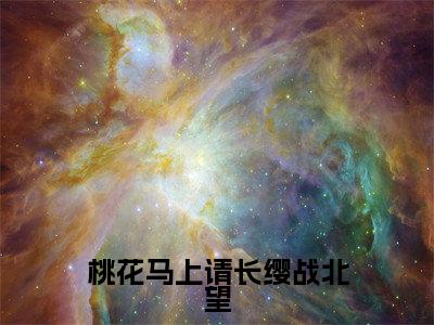 桃花马上请长缨战北望全文免费阅读_（宋惜惜战北望免费阅读无弹窗）桃花马上请长缨战北望高赞小说阅读