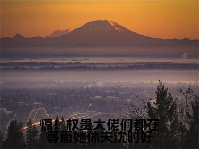 李屿恒沈时好全文免费阅读无弹窗（惊！权贵大佬们都在等着她休夫沈时好）小说-李屿恒沈时好小说免费阅读