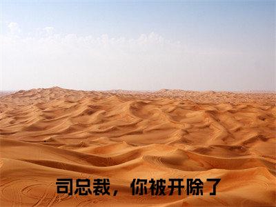 司总裁，你被开除了楚千瓷司星熠正版美文欣赏楚千瓷司星熠小说全文完整版免费阅读