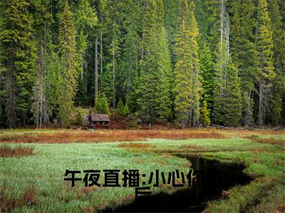 午夜直播:小心你身后（叶冰夏晴）全文免费阅读无弹窗_（叶冰夏晴）小说全文免费阅读最新章节_笔趣阁